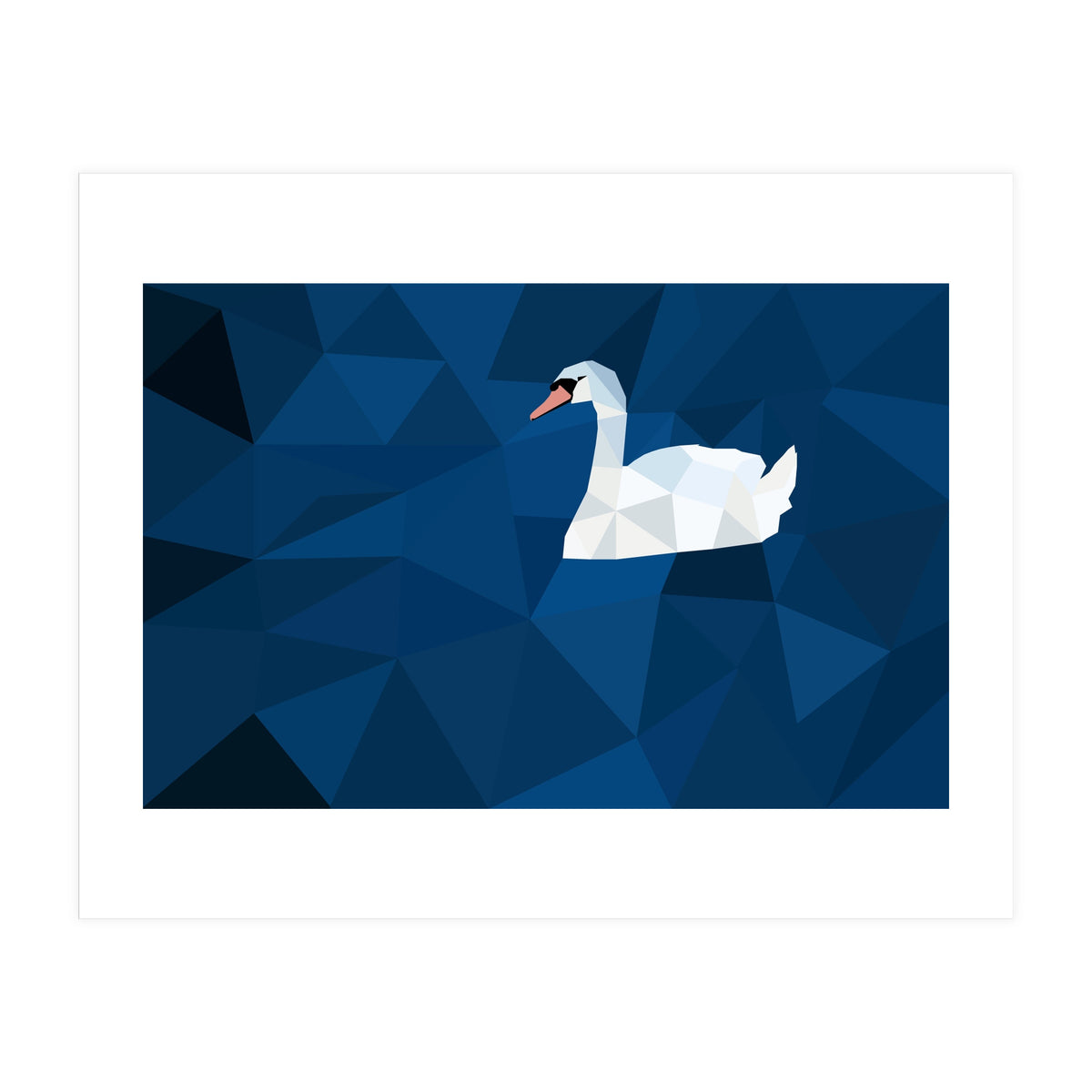 Swan In Water Artwork (Print Only)