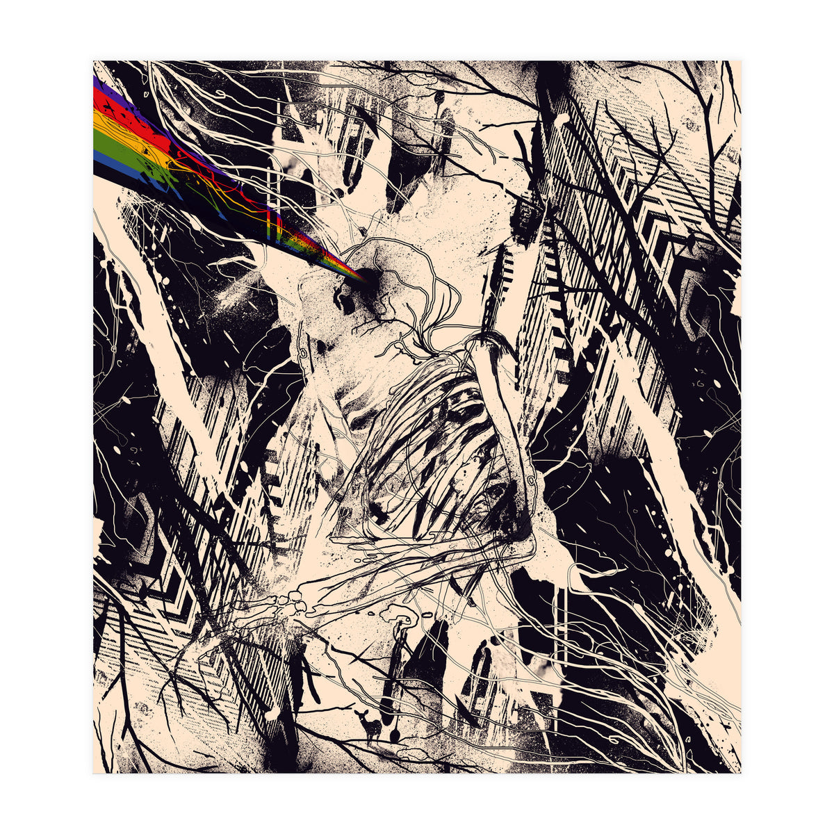 Envision (Print Only)