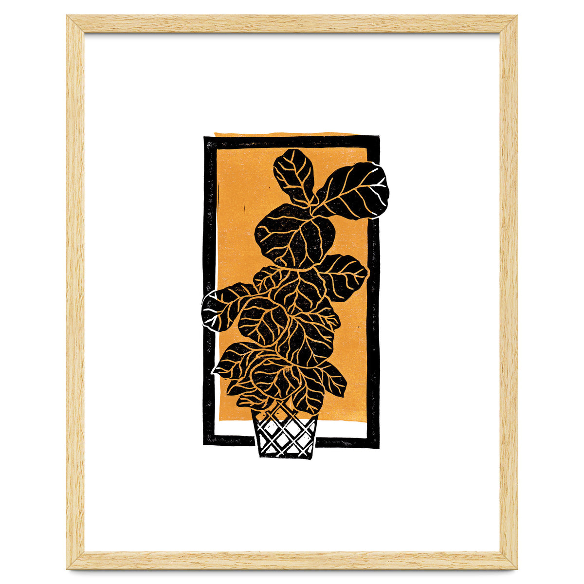 Fiddle Leaf Fig Clean + Sunlight