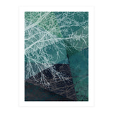 P19 E1 Trees And Triangles (Print Only) thumbnail