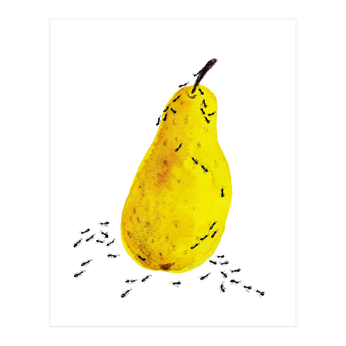 Funtime (Print Only)