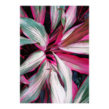 fiore red (Print Only) thumbnail