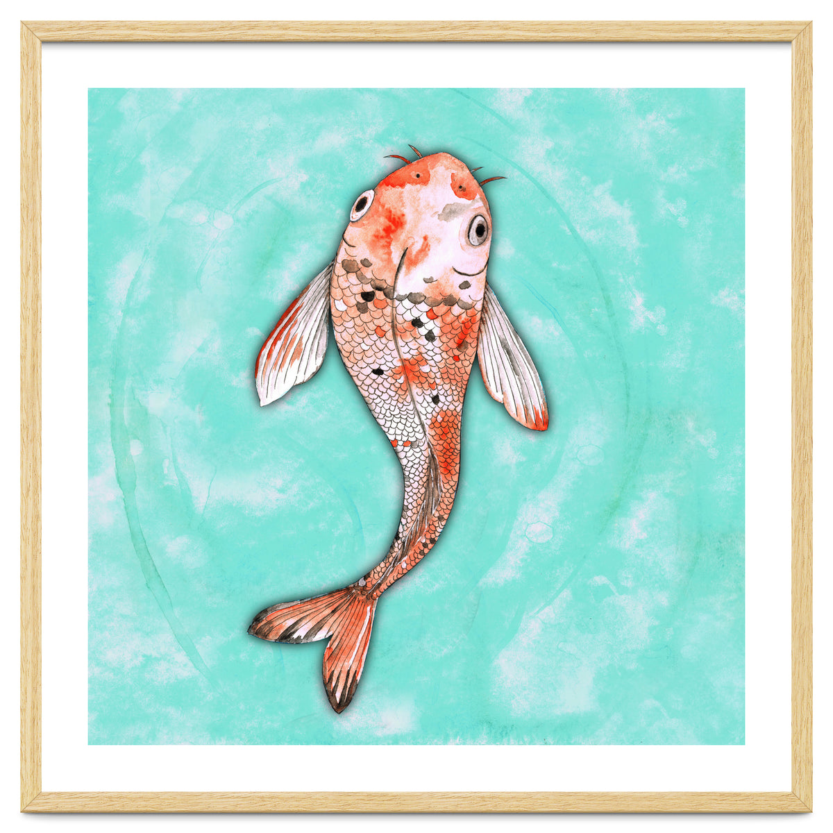 Koi fish