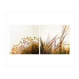 Adagio (Print Only) thumbnail