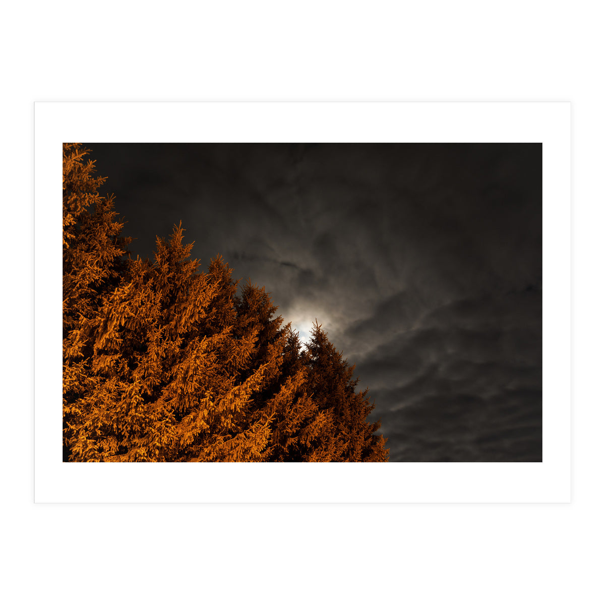 Howling (Print Only)