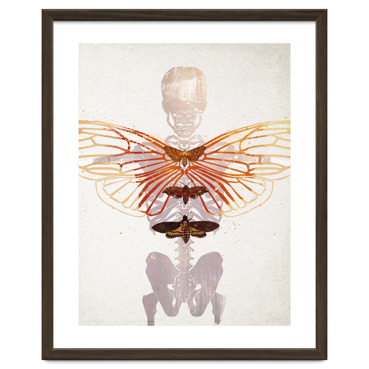 Ikarus - Like a Moth to the Flame