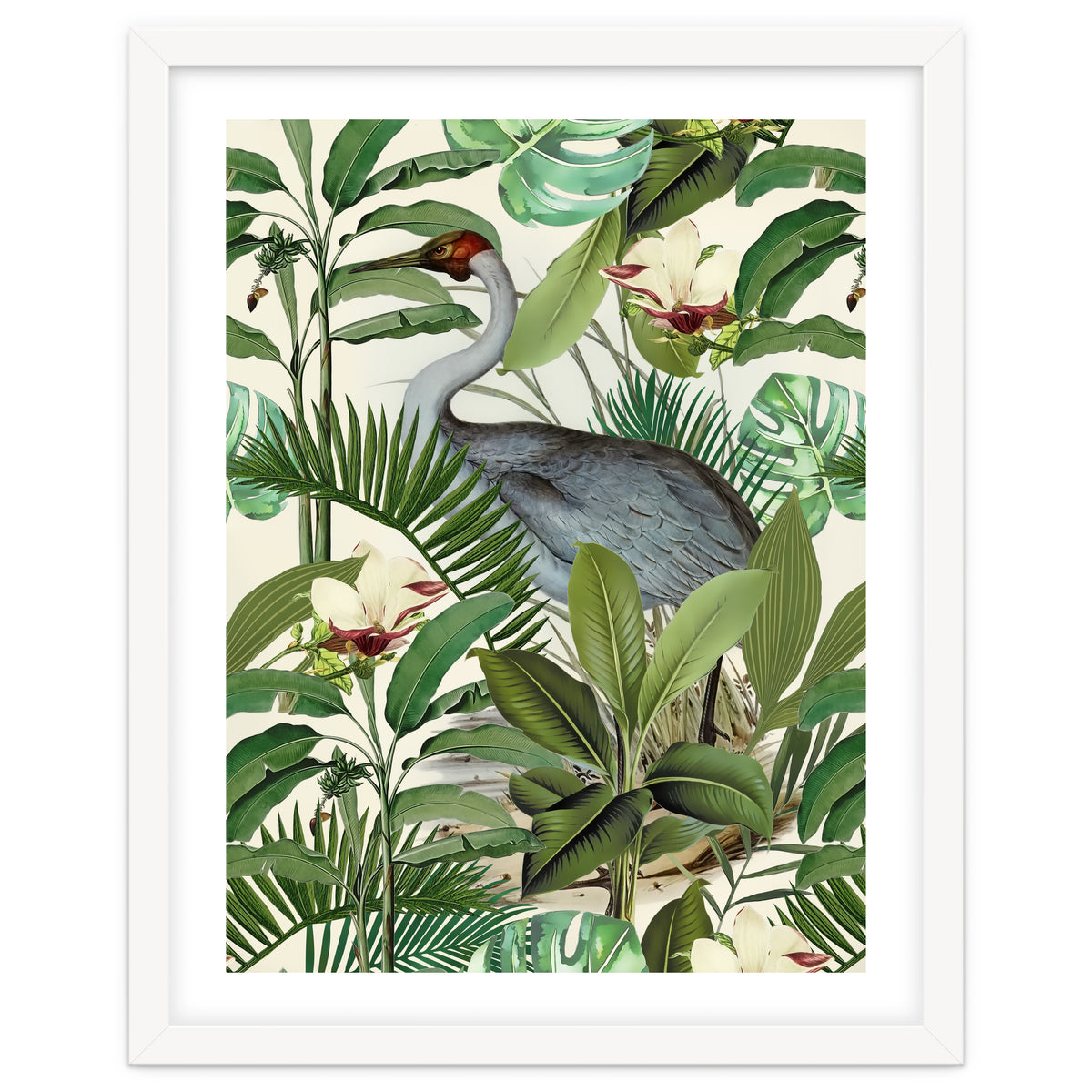 Tropical Heron