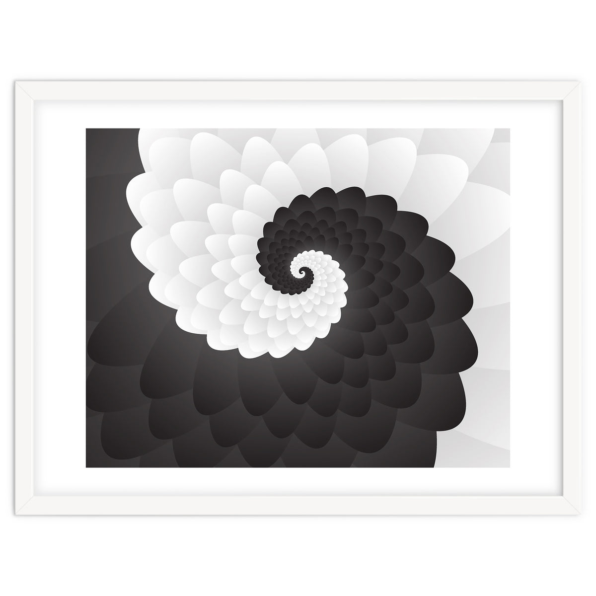 Mono Chrome Spiral Pattern