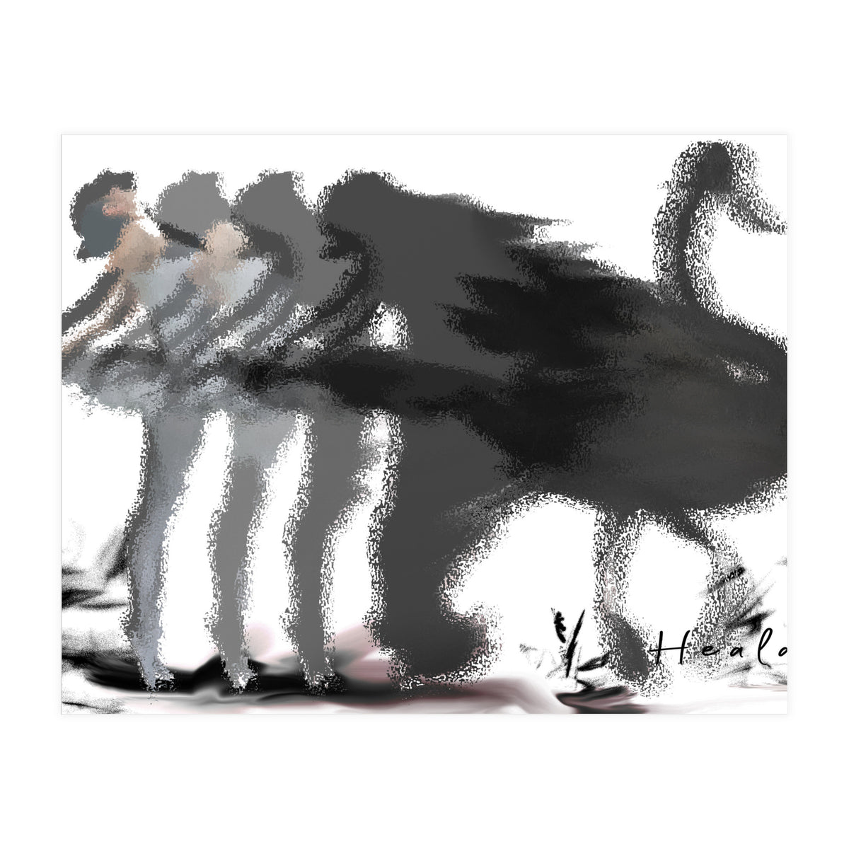 The Black Swan (Print Only)