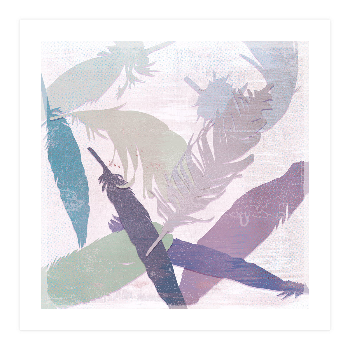 Feathers (Print Only)