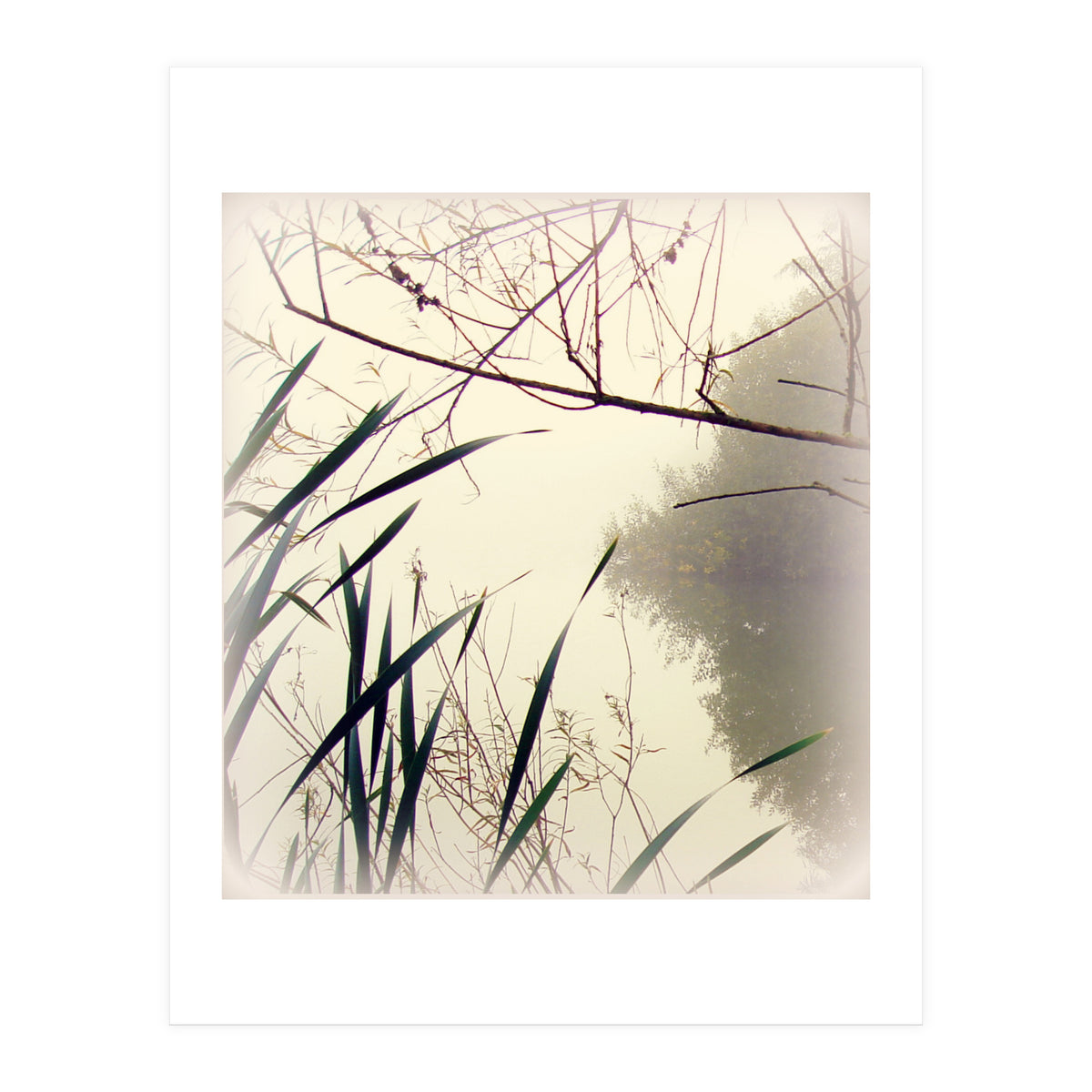 Quiet Waters  (Print Only)