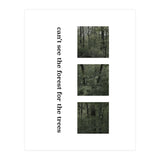 can’t see the forest for the trees (Print Only) thumbnail
