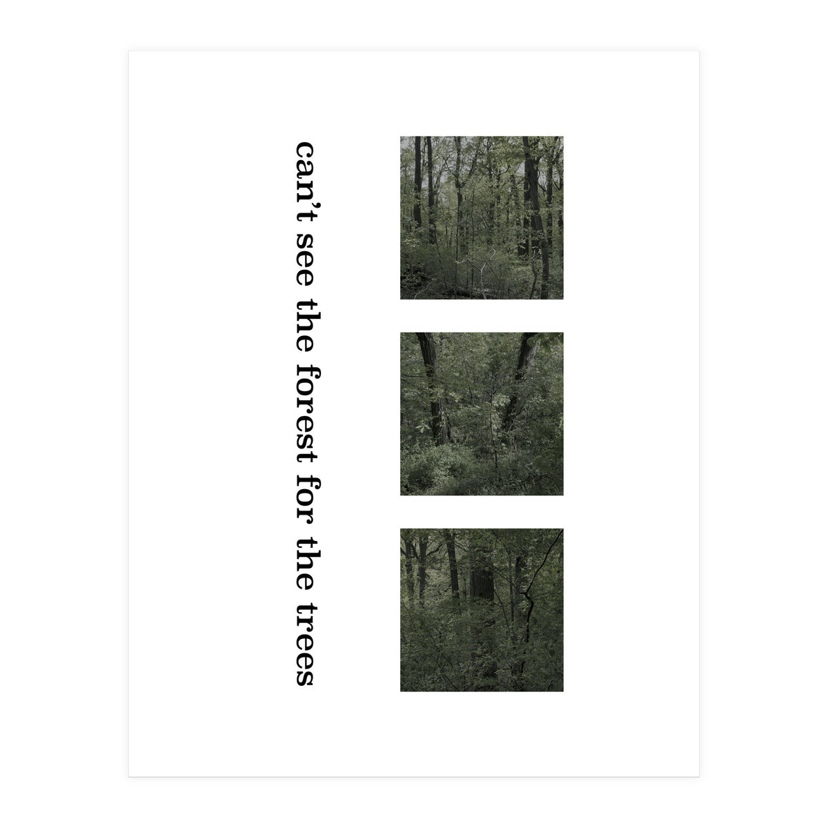 can’t see the forest for the trees (Print Only)