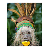 Suri Flower (Print Only) thumbnail