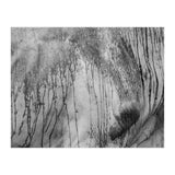 Abstract #2 (Print Only) thumbnail