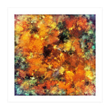 Flash Point (Print Only) thumbnail