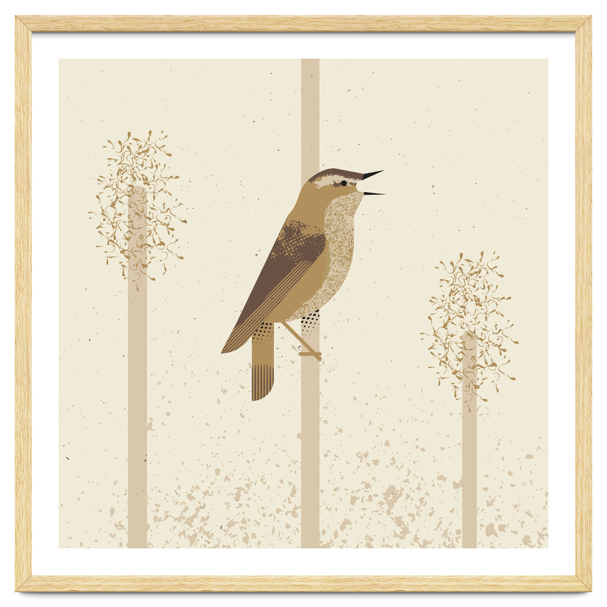 Sedge Warbler