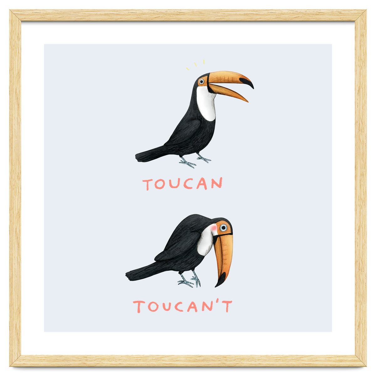 Toucan Toucan't
