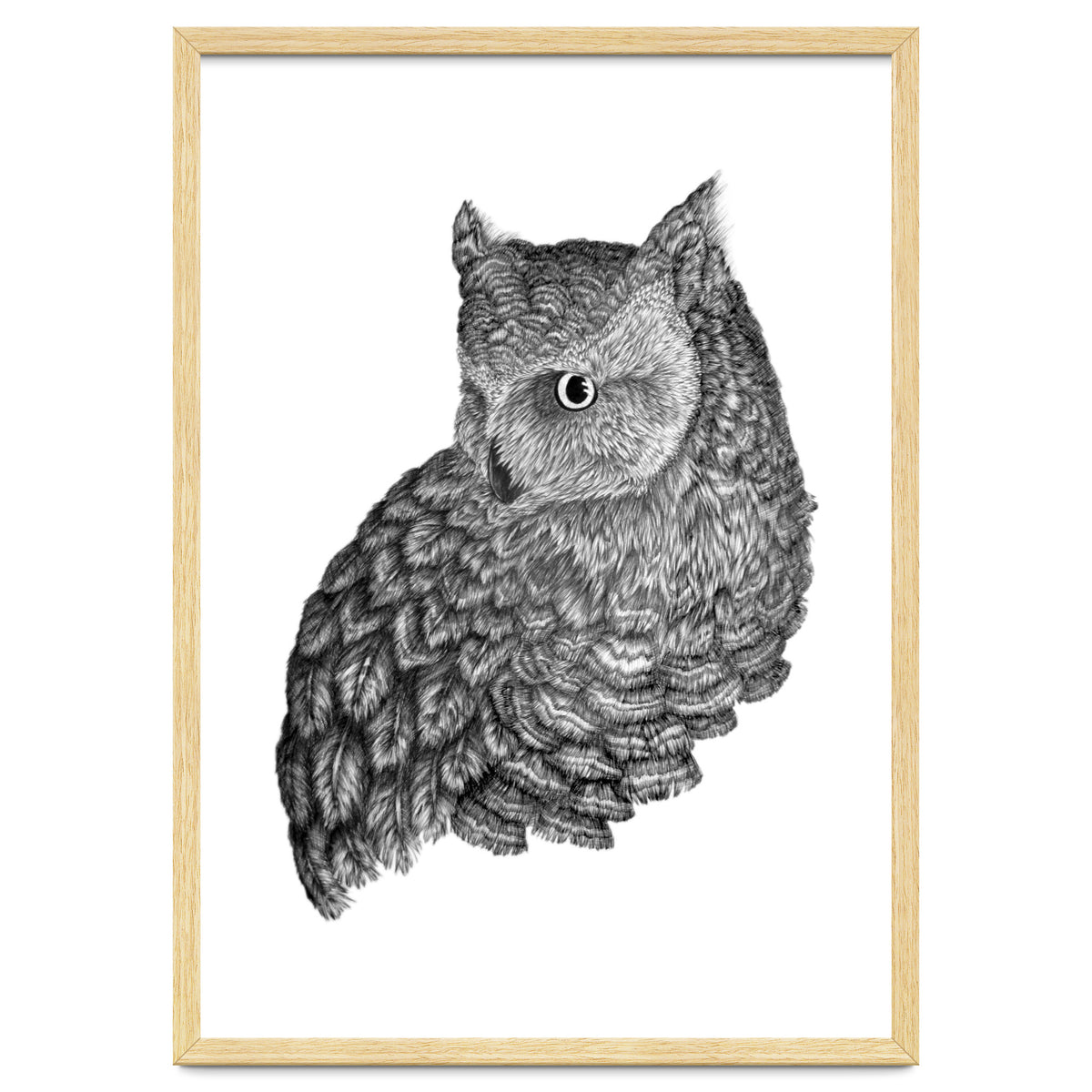 A Friend For Forsythe