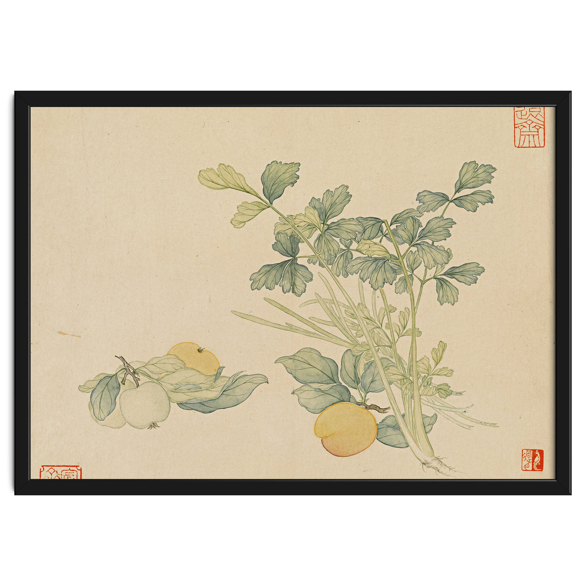 Wang Chengyu~flowers And Vegetables, Vegetables, Fruits, Plums, Apricots, Celery