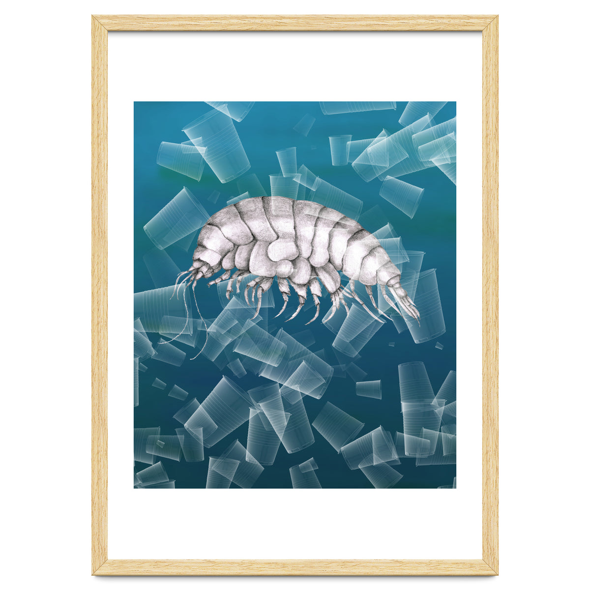 Eurythenes Plasticus