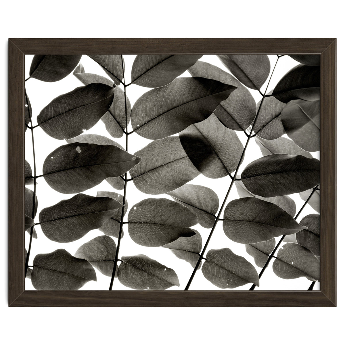 Branches and Leaves I