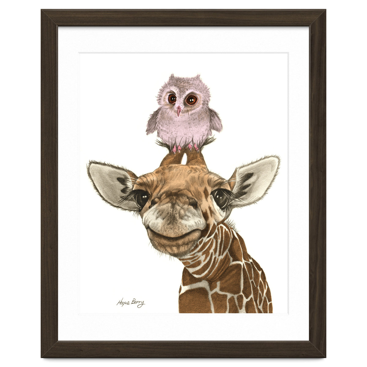 Giraffe and Owl