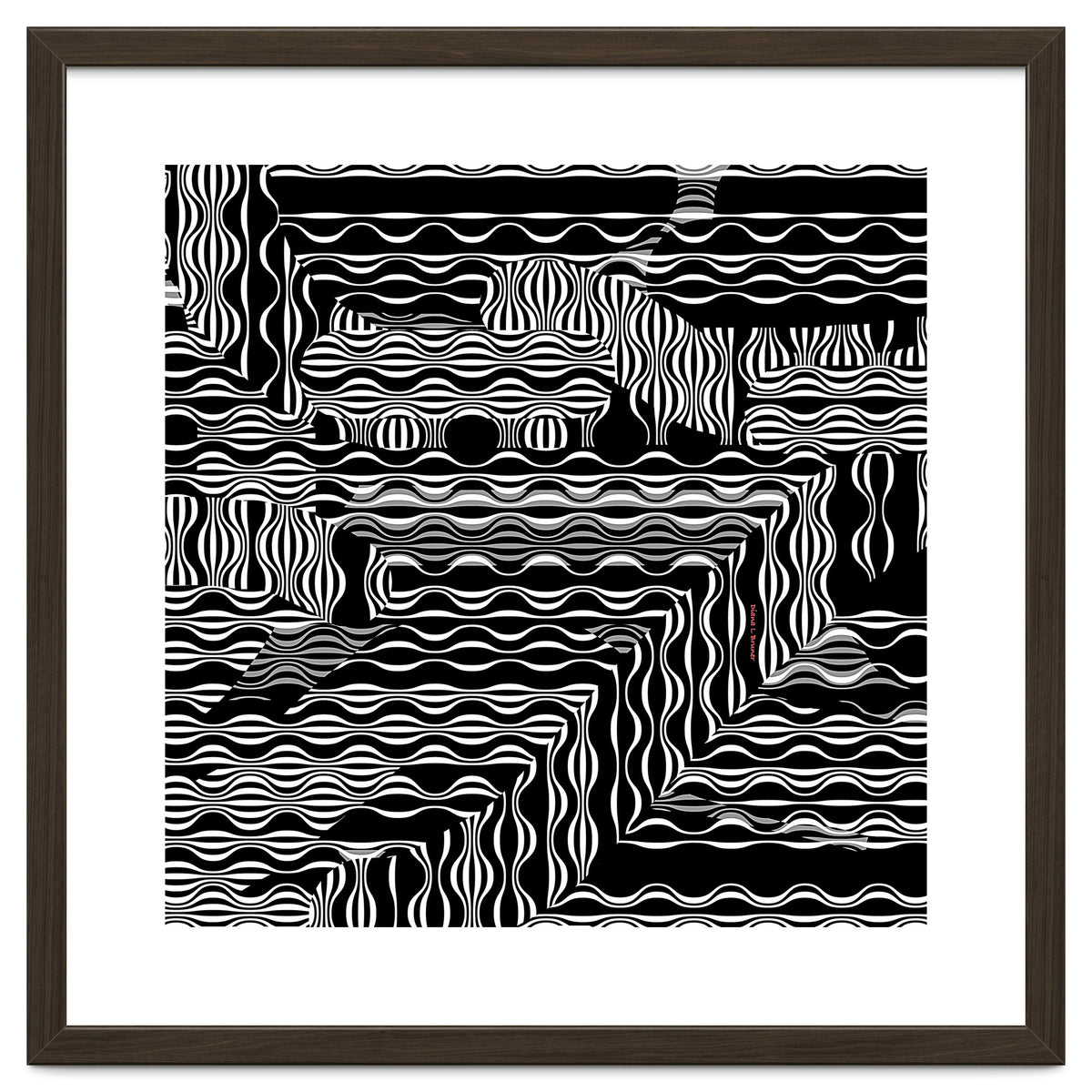 BLACK AND WHITE EXOTIC