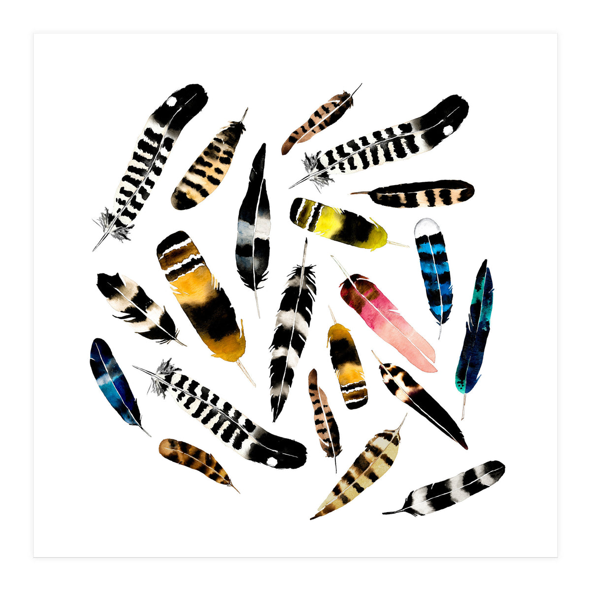 Feather Fusion  (Print Only)