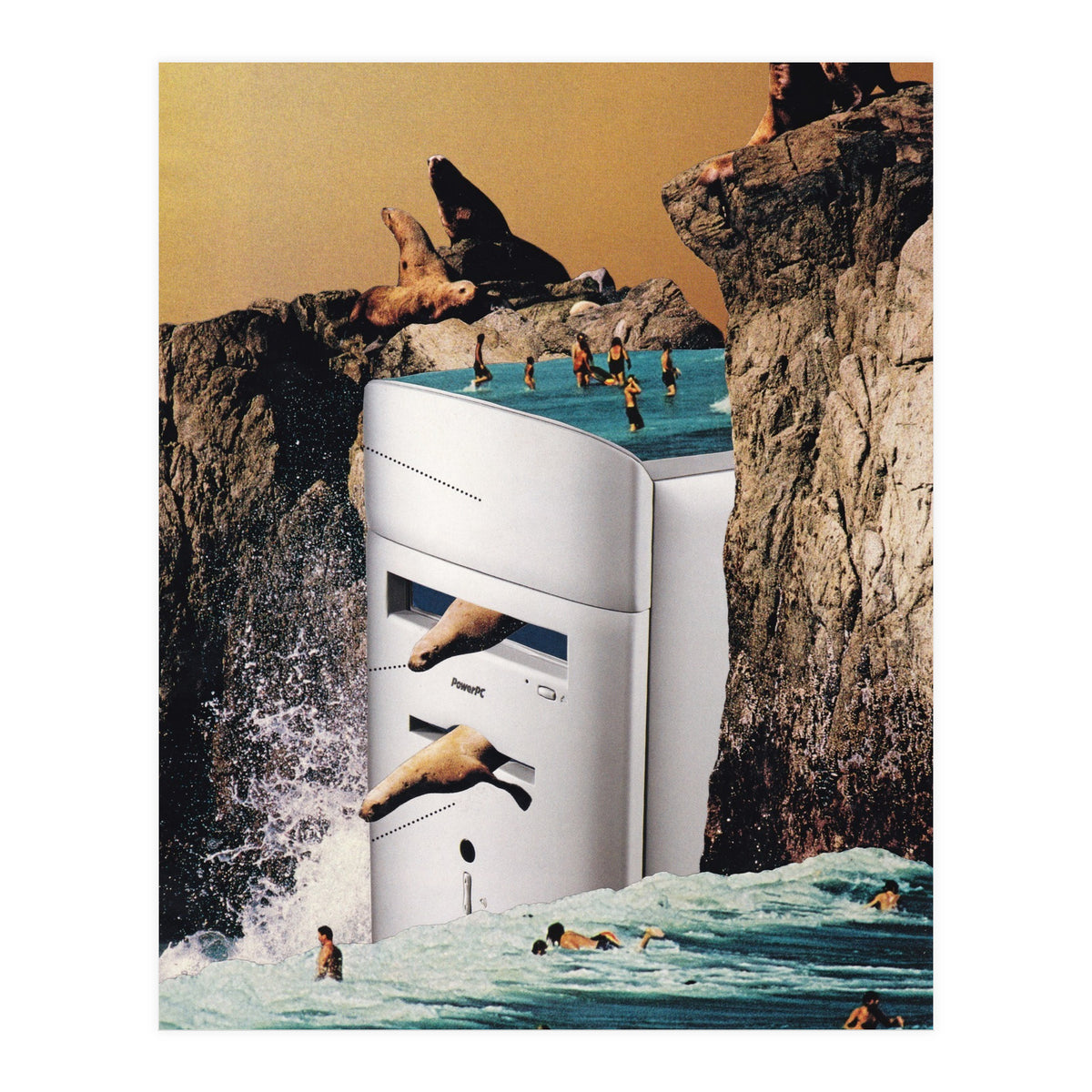 Computer Virus (Print Only)