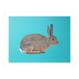 Rabbit (Print Only) thumbnail