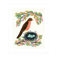 Robin (Print Only)