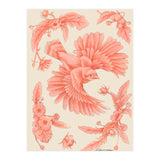 Crockery Print (Print Only) thumbnail