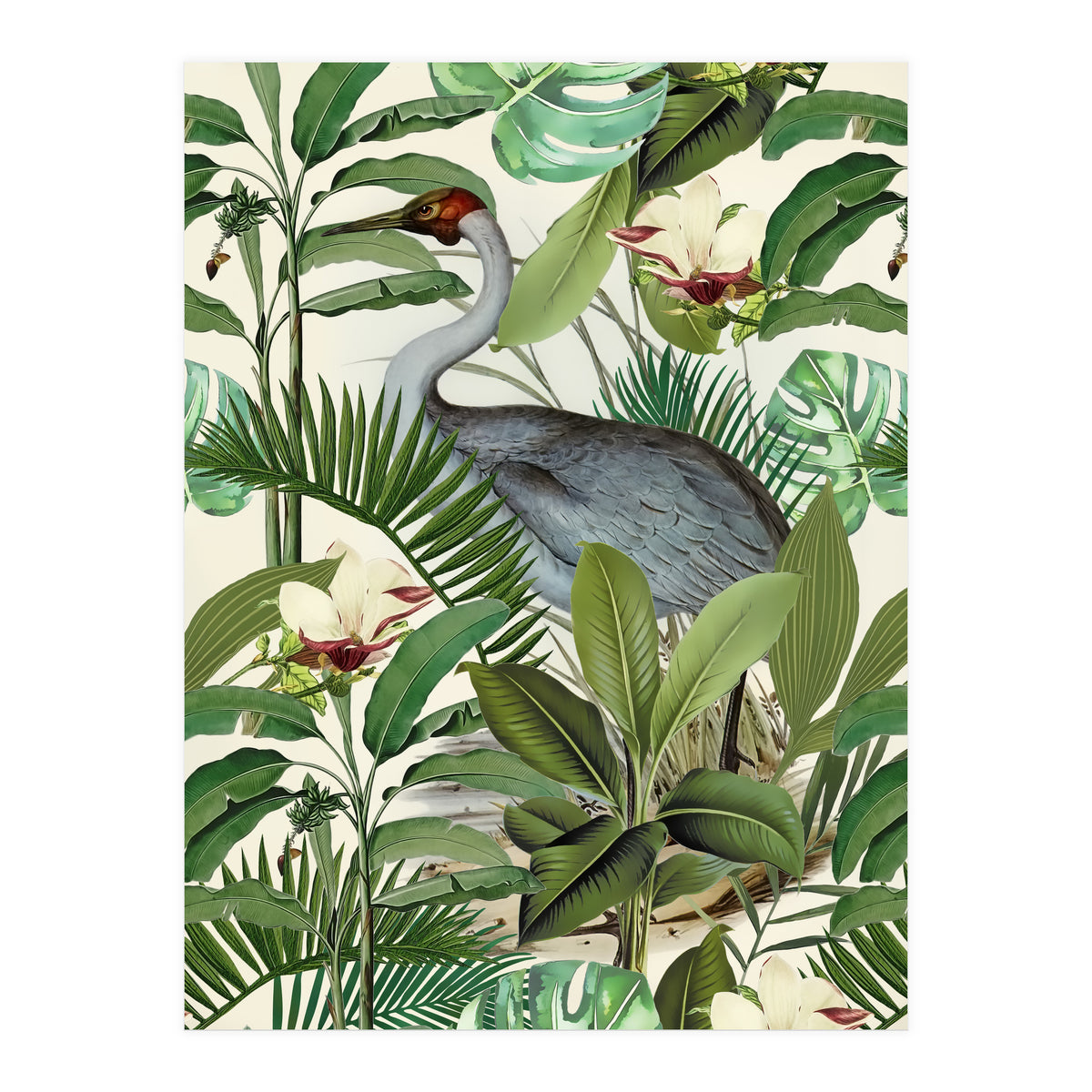 Tropical Heron (Print Only)