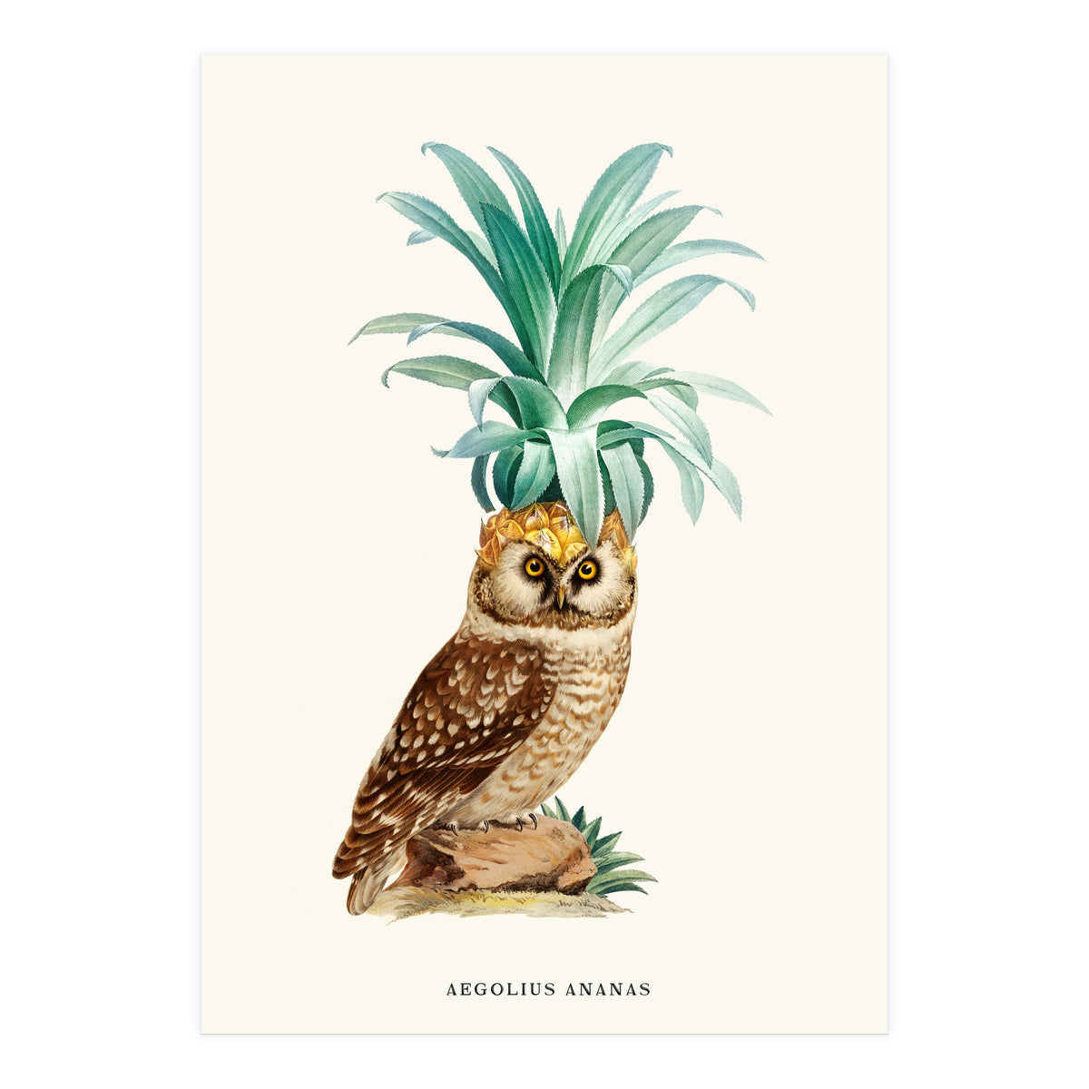 Pineapple Owl Vintage (Print Only)