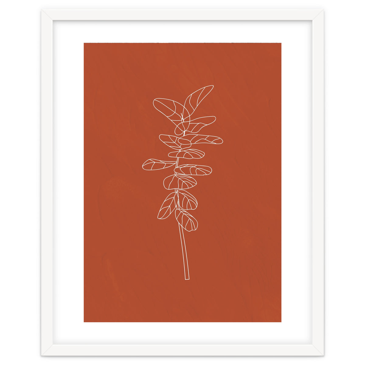 Line Art Botanical Terracotta