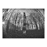 Circle of Growth and decay  (Print Only) thumbnail