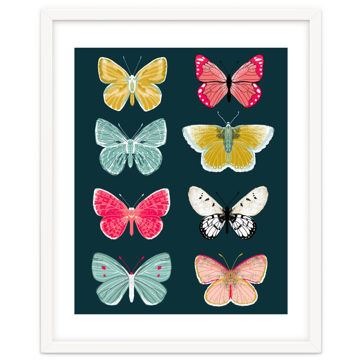 Lepidoptery Study No. 2