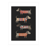 Sausage Dogs In Sweaters Dark (Print Only) thumbnail