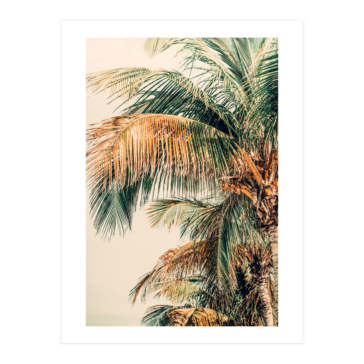 Tropic Summer  (Print Only)