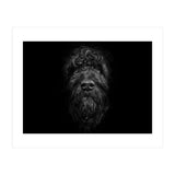 Ziggy Portrait No 2 (Print Only) thumbnail