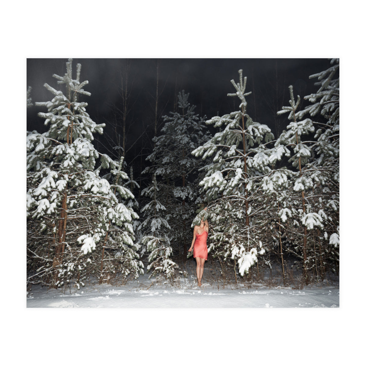 Freezing Frame (Print Only)