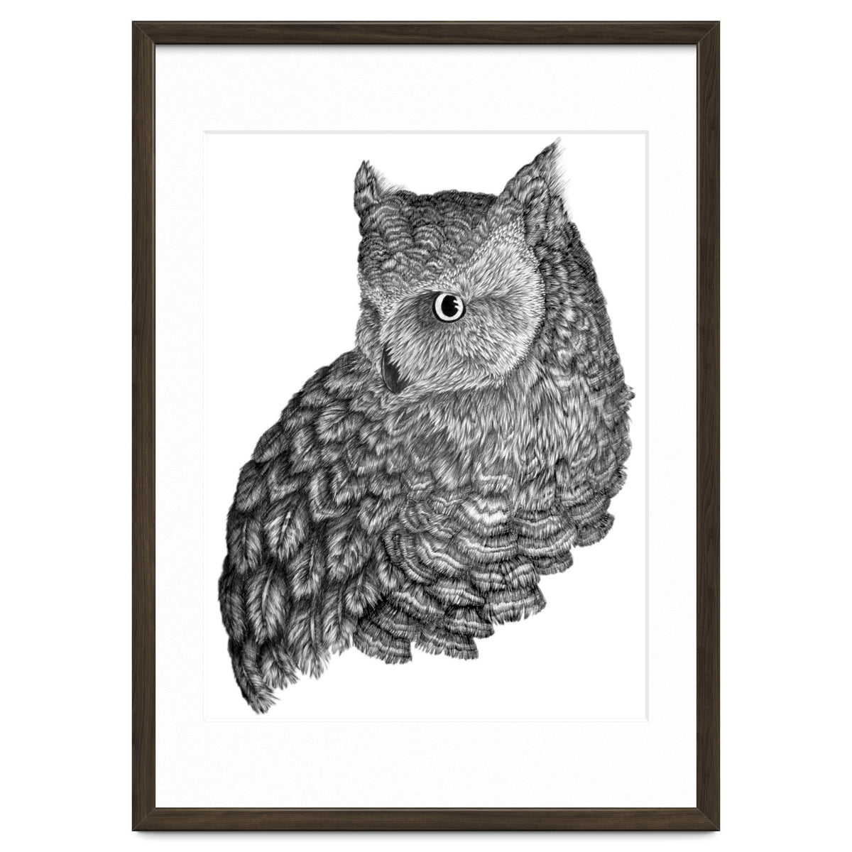 A Friend For Forsythe