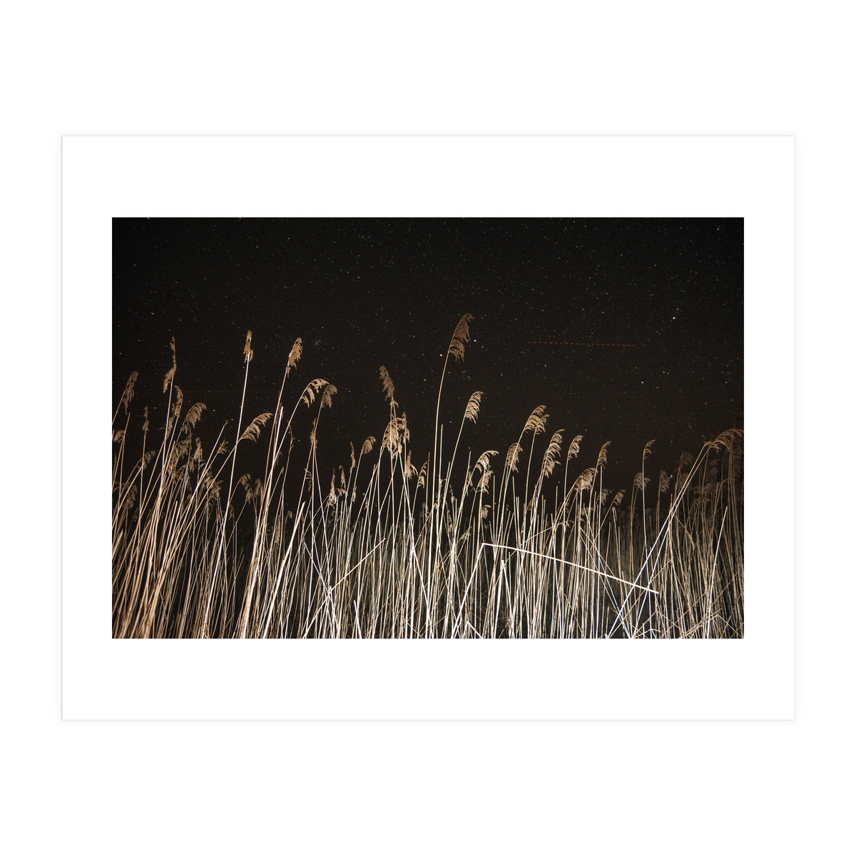 The Shining (Print Only)