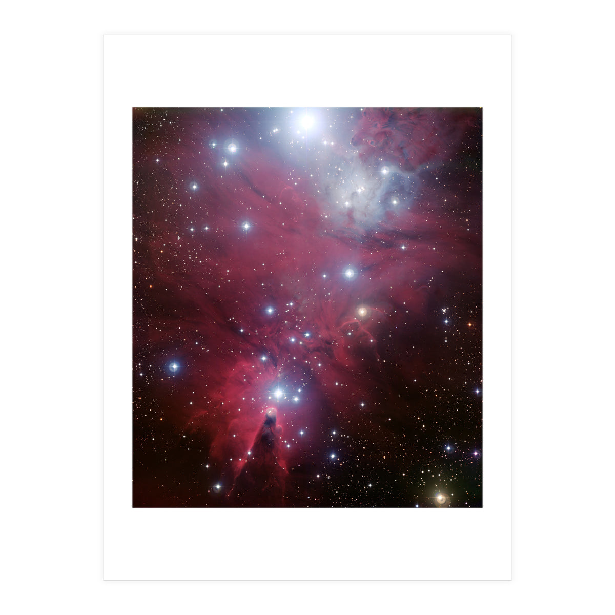 The Christmas Tree Cluster (Print Only)