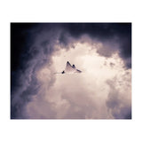 Lltt (Print Only) thumbnail