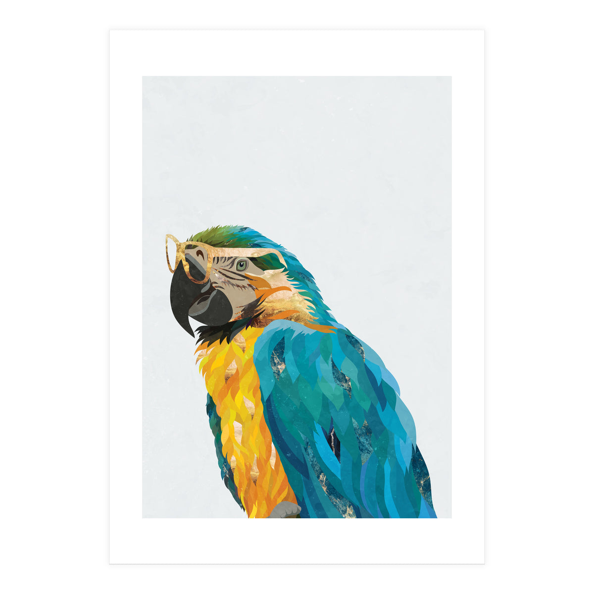 Macaw Portrait wearing gold glasses (Print Only)