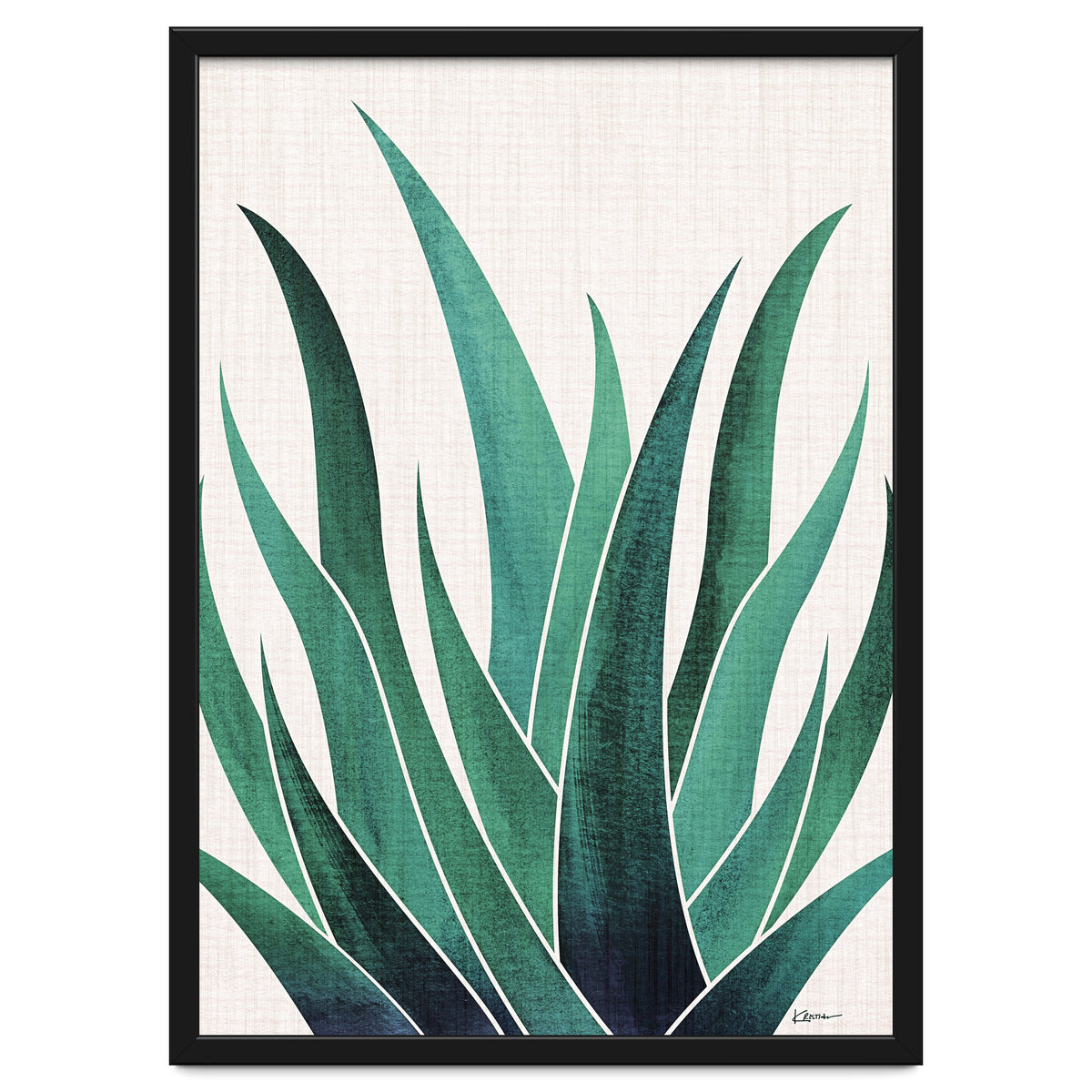 Desert Agave