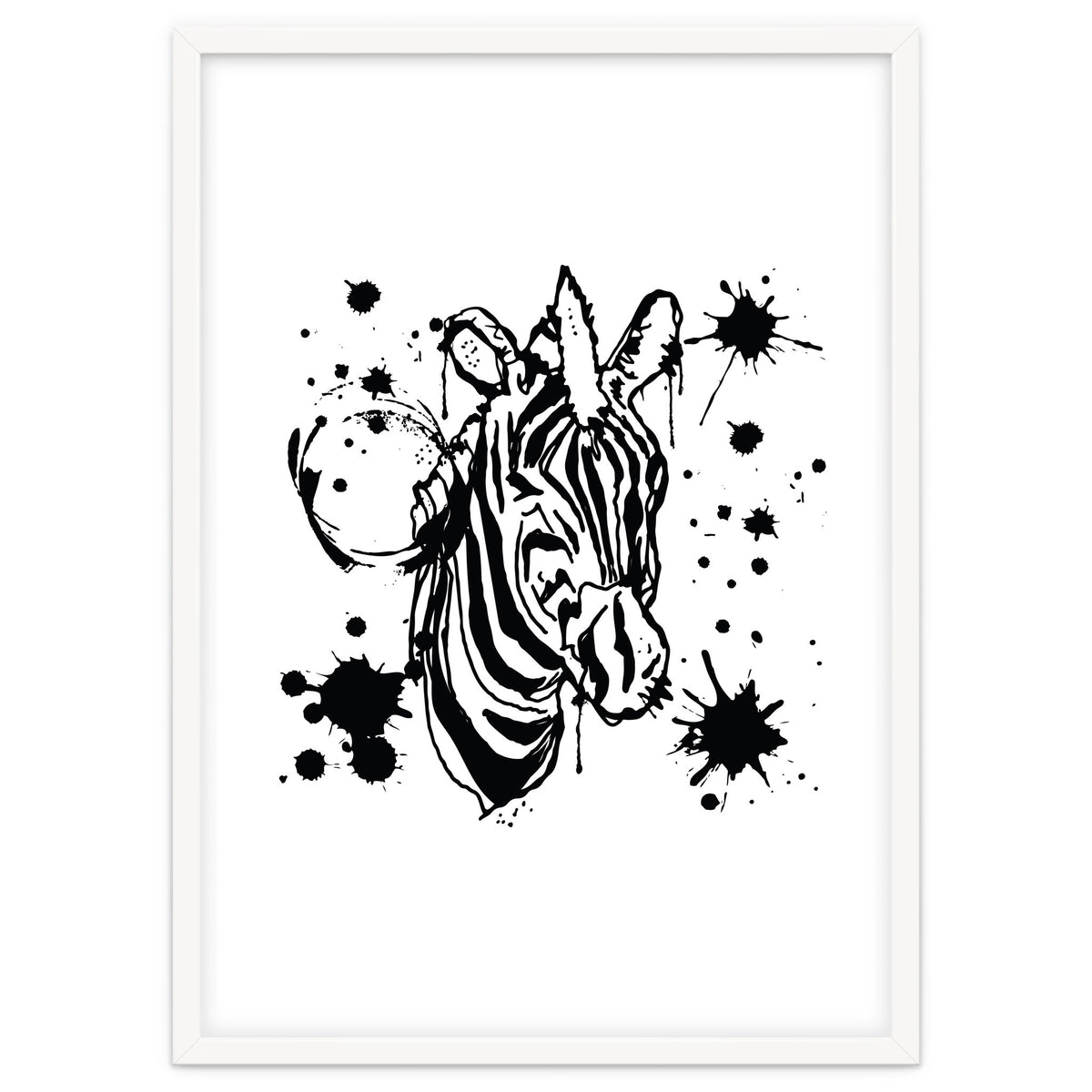 Zebra sketch
