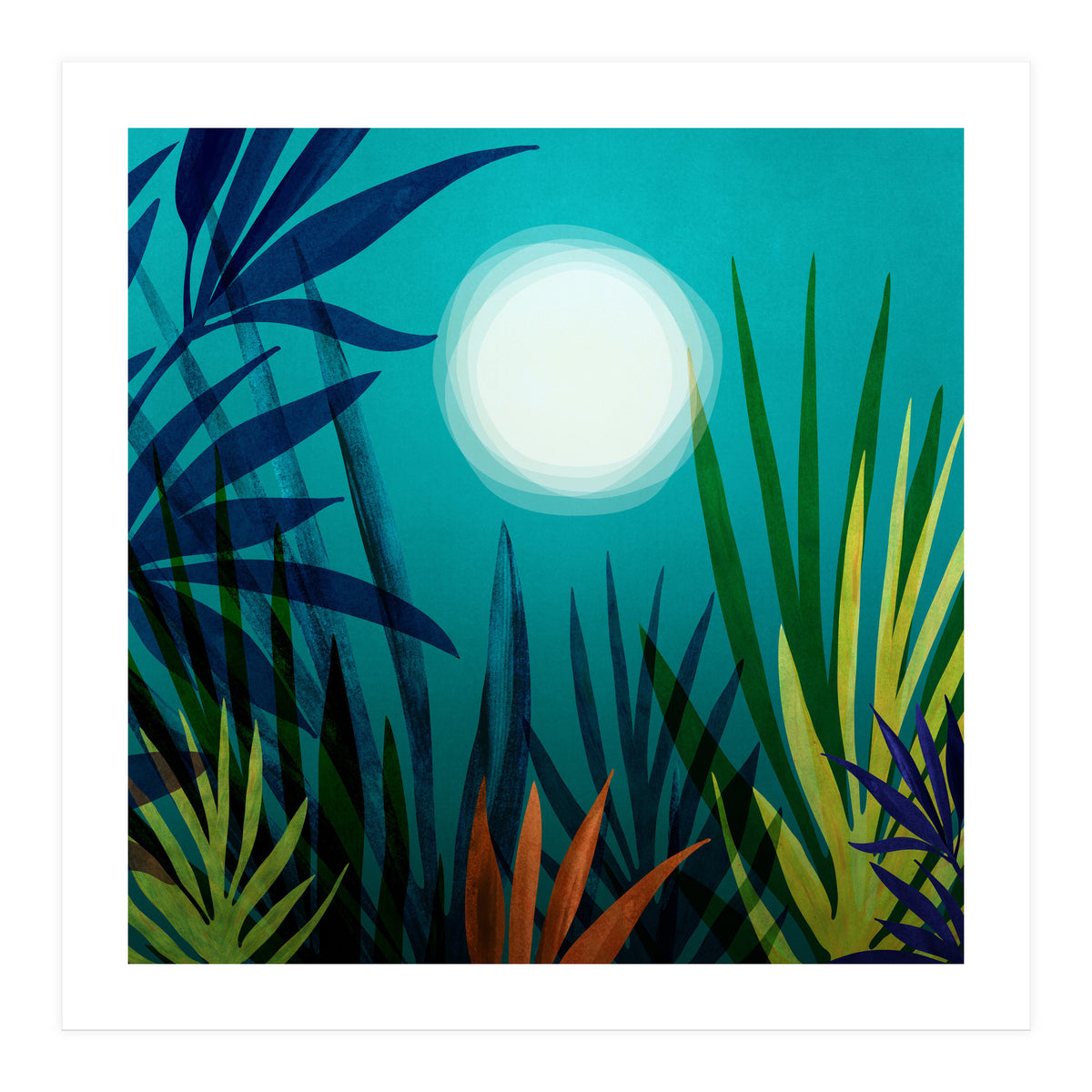 Midnight In The Jungle (Print Only)
